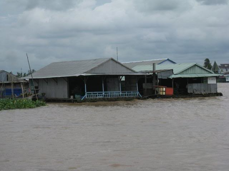 An Giang - Mùa Nước Nổi - cuộc sống mưu sinh.