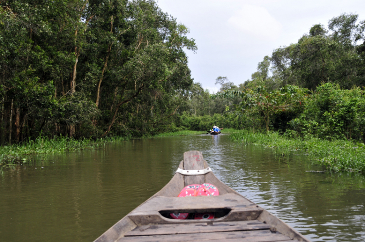 An Giang - Mùa Nước Nổi - cuộc sống mưu sinh.