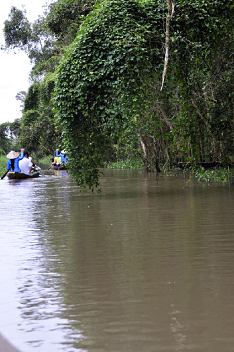 An Giang - Mùa Nước Nổi - cuộc sống mưu sinh.