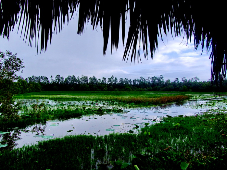 An Giang - Mùa Nước Nổi - cuộc sống mưu sinh.