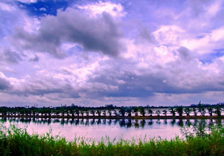 An Giang - Mùa Nước Nổi - cuộc sống mưu sinh. An Giang - Mùa Nước Nổi - cuộc sống mưu sinh.