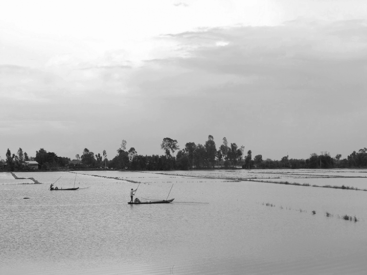 An Giang - Mùa Nước Nổi - cuộc sống mưu sinh.