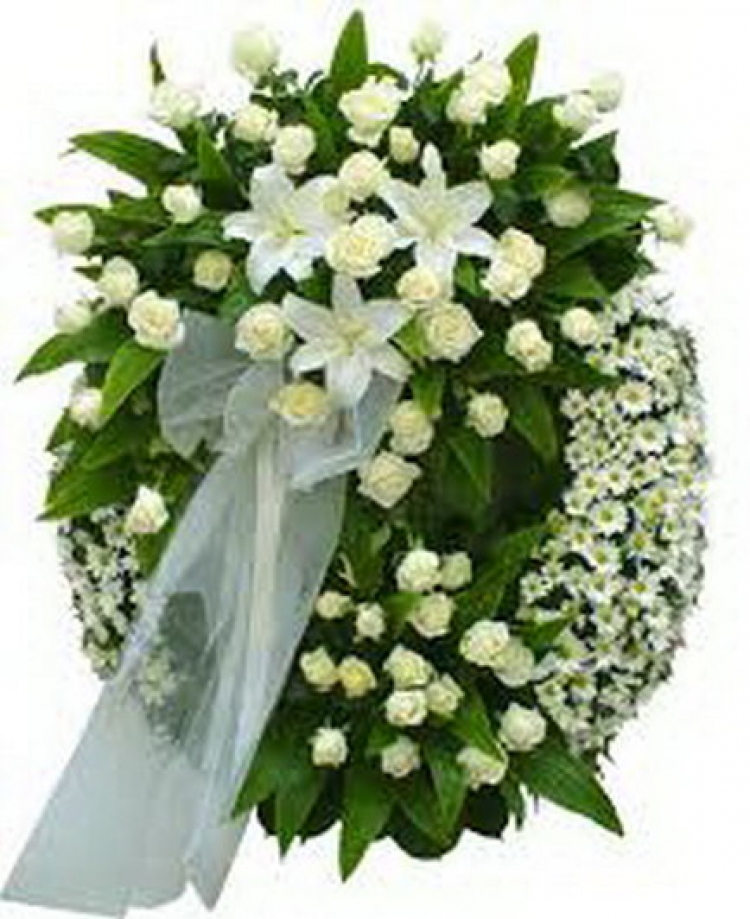 Xin gởi lời chia buồn đến gia quyến của KTS.Hải Xin gởi lời chia buồn đến gia quyến của KTS.Hải