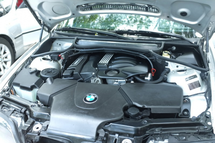 Rủ rê E46 tụ tập cafe bà 8 ! Rủ rê E46 tụ tập cafe bà 8 !