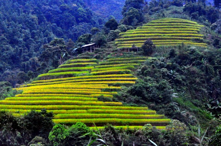 Lâu lâu về xóm quấy rầy tí xíu...