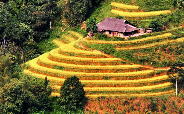 Lâu lâu về xóm quấy rầy tí xíu...