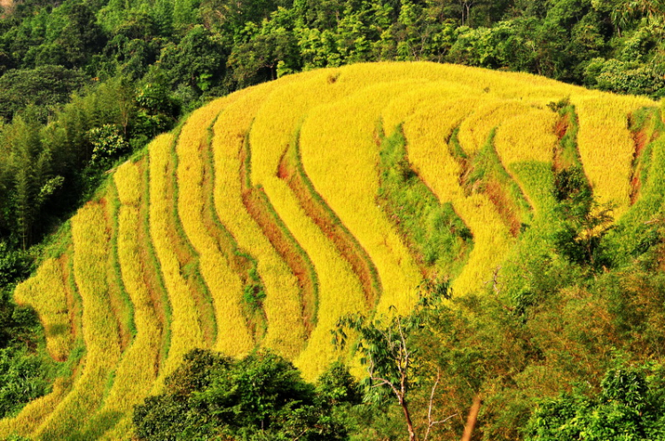 Lâu lâu về xóm quấy rầy tí xíu...