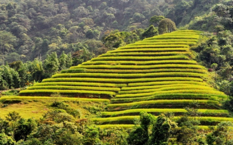 Lâu lâu về xóm quấy rầy tí xíu...