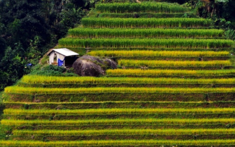 Lâu lâu về xóm quấy rầy tí xíu...