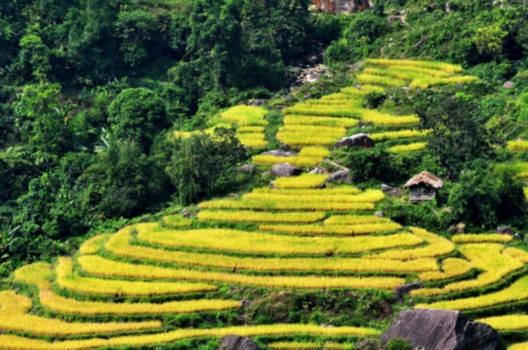 Lâu lâu về xóm quấy rầy tí xíu...