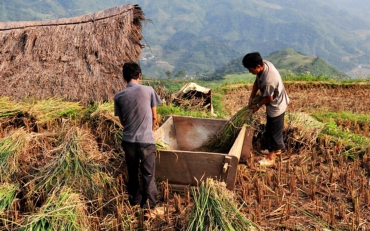 Lâu lâu về xóm quấy rầy tí xíu...