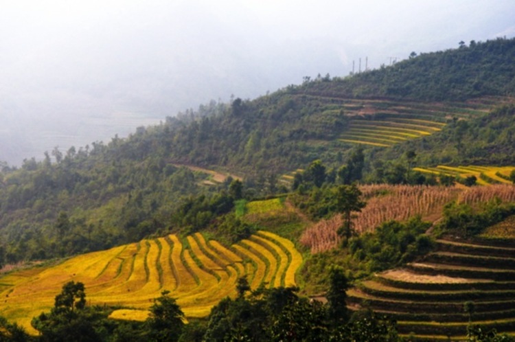 Lâu lâu về xóm quấy rầy tí xíu...