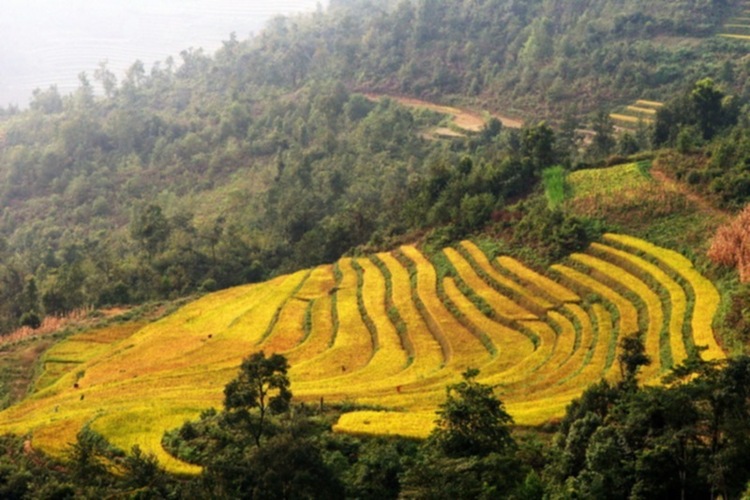 Lâu lâu về xóm quấy rầy tí xíu...