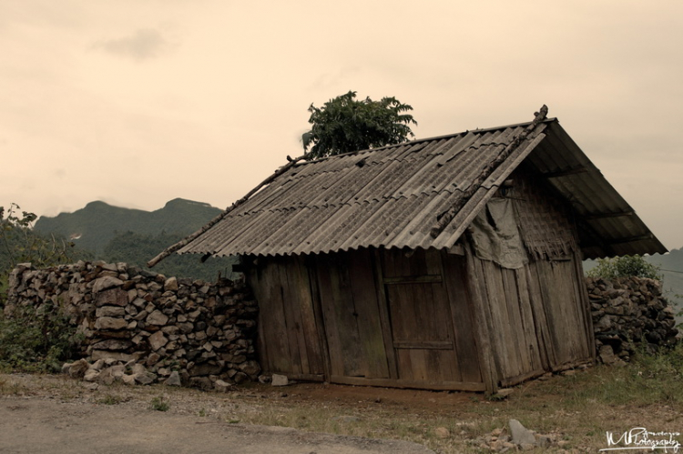 Lâu lâu về xóm quấy rầy tí xíu...