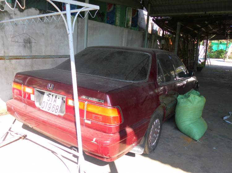 HÀNH TRÌNH ĐI TÌM HONDA ACCORD 1989 LXI Có SUNROOF