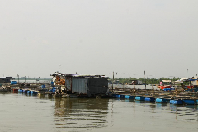 OS.XNL - ĐÊM QUÝ BÀ - HÌNH ẢNH MỪNG 3 NĂM THÀNH LẬP CLB PHỤ NỮ OS.XNL OS.XNL - ĐÊM QUÝ BÀ - HÌNH ẢNH MỪNG 3 NĂM THÀNH LẬP CLB PHỤ NỮ OS.XNL