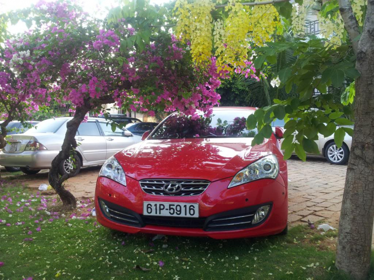 FULL BỘ SƯU TẬP GENESIS COUPE