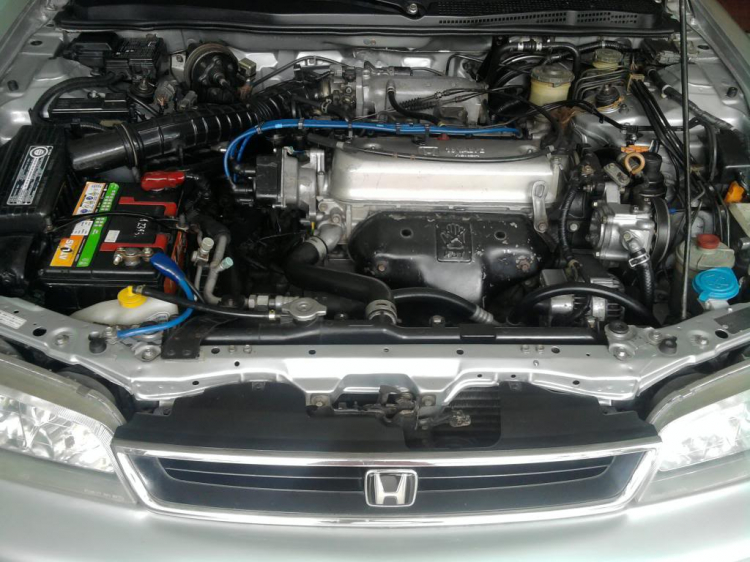 ACCORD CLUB : Bộ sưu tập ACCORDS 90-97 & Acura Legend 91- 95 ! ACCORD CLUB : Bộ sưu tập ACCORDS 90-97 & Acura Legend 91- 95 !