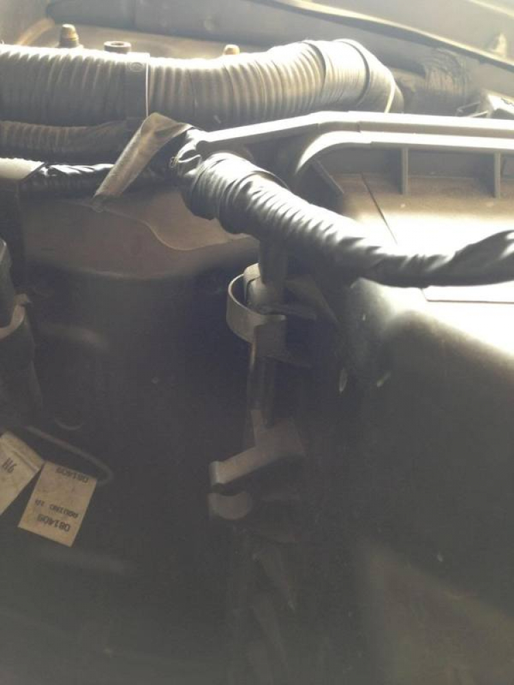 Kinh nghiệm thủy kích với Ford Escape XLT Kinh nghiệm thủy kích với Ford Escape XLT