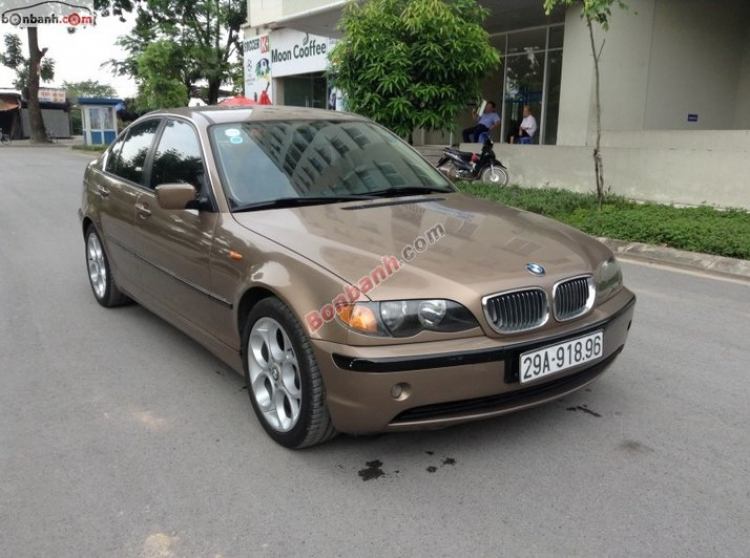 Accord Club: Vợ 2 mới của Già Đáng Accord Club: Vợ 2 mới của Già Đáng