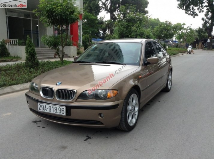 Accord Club: Vợ 2 mới của Già Đáng Accord Club: Vợ 2 mới của Già Đáng