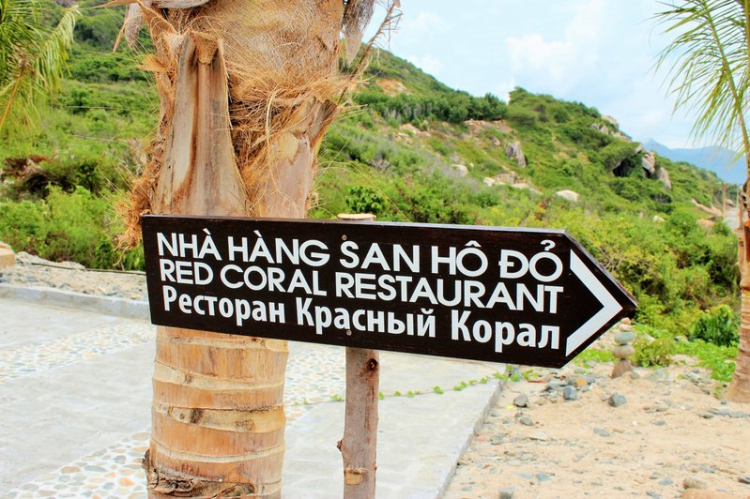 Chuyến du lịch hè 2014 biển và núi của nhà em. Chuyến du lịch hè 2014 biển và núi của nhà em.