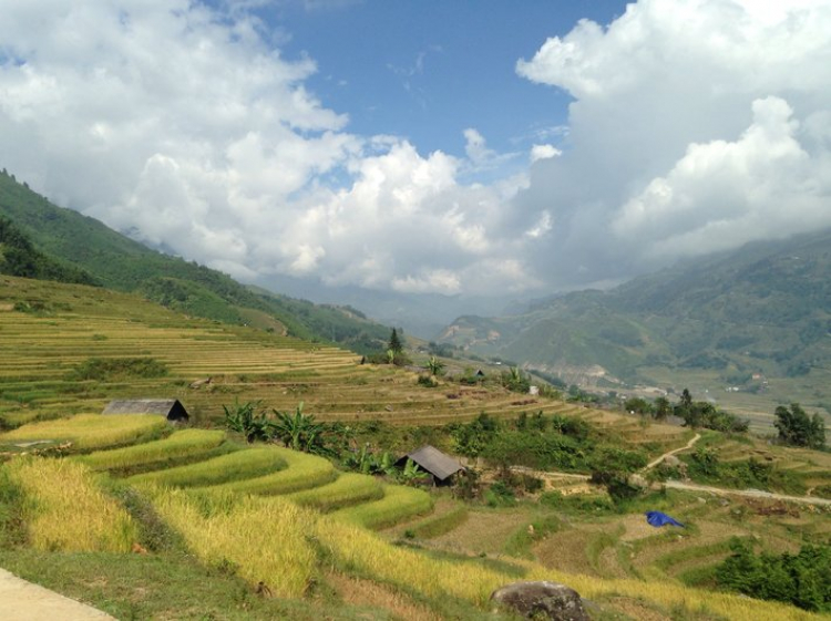 Chiến dich "Bắc phạt" ta quyết đánh Tây dẹp Đông vây Hà Thành! Chiến dich "Bắc phạt" ta quyết đánh Tây dẹp Đông vây Hà Thành!