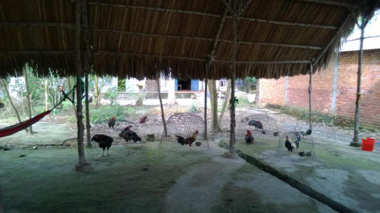 Xe đạp phượt Miền Tây mùa nước nổi - tham quan Cà Mau điểm cực Nam Tổ quốc Xe đạp phượt Miền Tây mùa nước nổi - tham quan Cà Mau điểm cực Nam Tổ quốc
