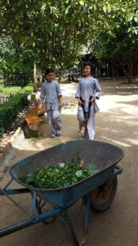 2 ngày cuối tuần-Thưởng thức hải sản cùng không khí  biển Long sơn - Long hải.