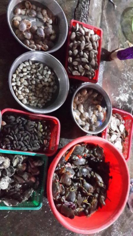 2 ngày cuối tuần-Thưởng thức hải sản cùng không khí  biển Long sơn - Long hải.