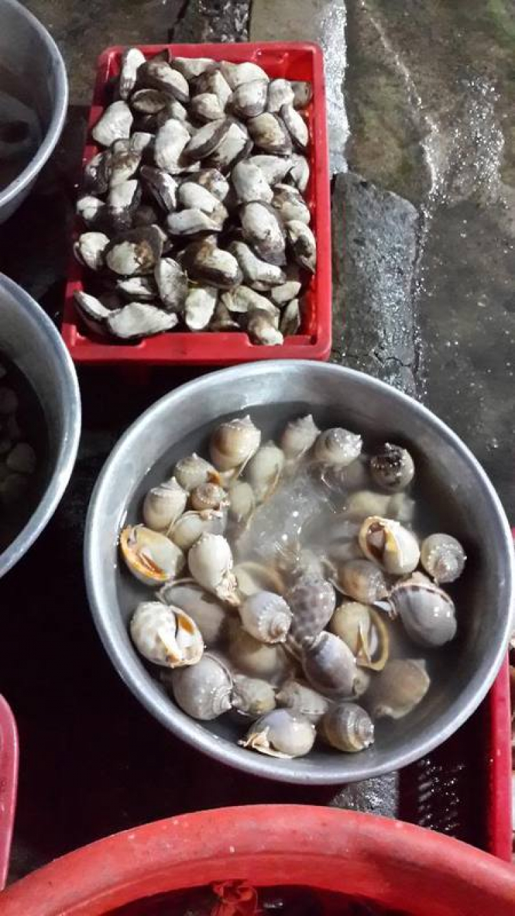 2 ngày cuối tuần-Thưởng thức hải sản cùng không khí  biển Long sơn - Long hải.