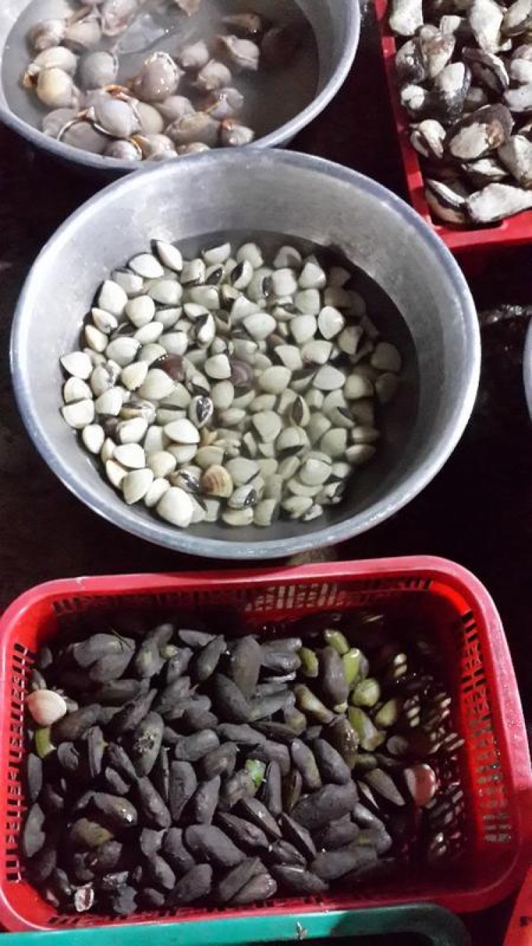 2 ngày cuối tuần-Thưởng thức hải sản cùng không khí  biển Long sơn - Long hải.