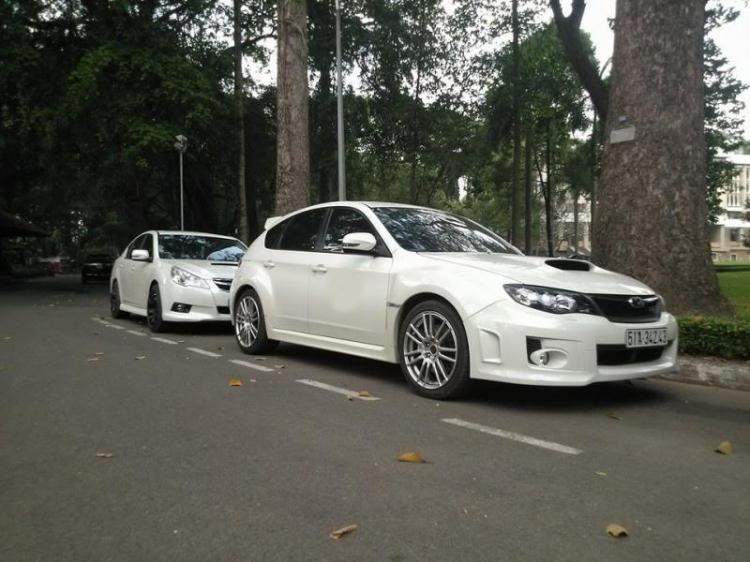 Subies SG đang có kèo thơm ở Q1 Subies SG đang có kèo thơm ở Q1