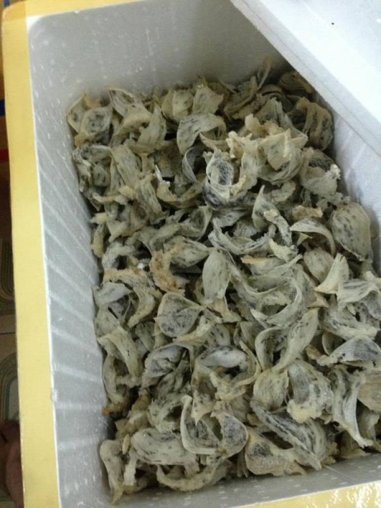 Siêu Thị 24h : KIA kinh doanh đủ mặt hàng . Siêu Thị 24h : KIA kinh doanh đủ mặt hàng .