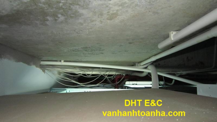 Đúng là linh ta linh tinh, vớ va vớ vẩn Đúng là linh ta linh tinh, vớ va vớ vẩn
