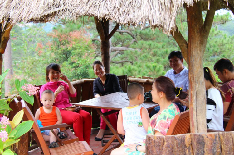 Hình Ảnh Đà Lạt cuối năm 2013 Hình Ảnh Đà Lạt cuối năm 2013
