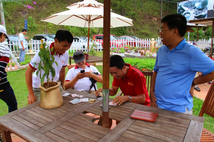 Hình Ảnh Đà Lạt cuối năm 2013 Hình Ảnh Đà Lạt cuối năm 2013
