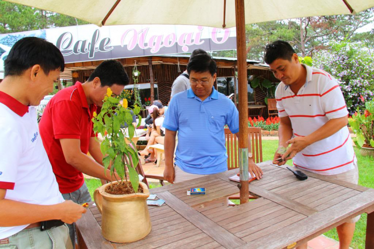 Hình Ảnh Đà Lạt cuối năm 2013 Hình Ảnh Đà Lạt cuối năm 2013