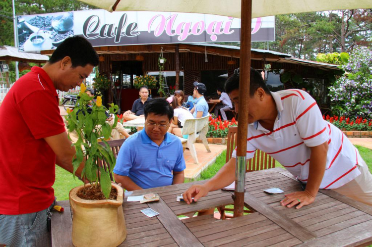 Hình Ảnh Đà Lạt cuối năm 2013 Hình Ảnh Đà Lạt cuối năm 2013