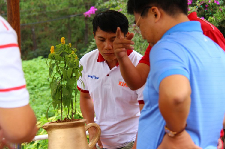 Hình Ảnh Đà Lạt cuối năm 2013 Hình Ảnh Đà Lạt cuối năm 2013