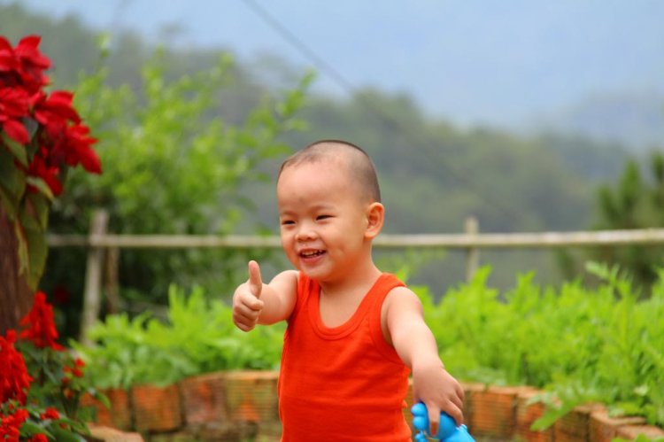 Hình Ảnh Đà Lạt cuối năm 2013 Hình Ảnh Đà Lạt cuối năm 2013