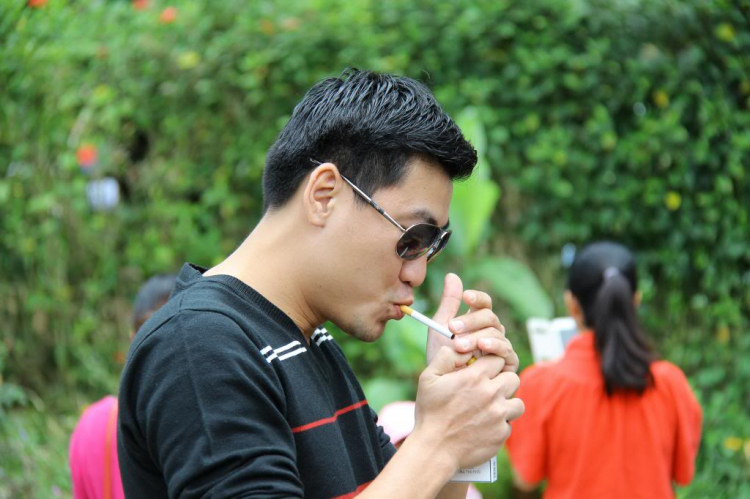 Hình Ảnh Đà Lạt cuối năm 2013 Hình Ảnh Đà Lạt cuối năm 2013