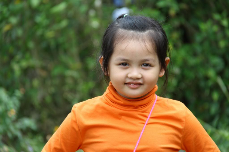 Hình Ảnh Đà Lạt cuối năm 2013 Hình Ảnh Đà Lạt cuối năm 2013