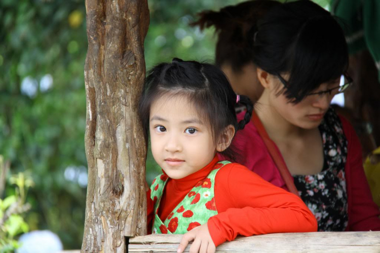 Hình Ảnh Đà Lạt cuối năm 2013 Hình Ảnh Đà Lạt cuối năm 2013