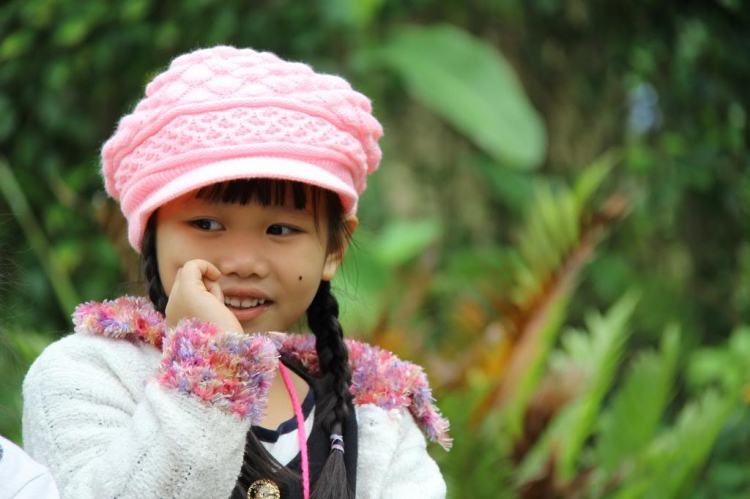 Hình Ảnh Đà Lạt cuối năm 2013 Hình Ảnh Đà Lạt cuối năm 2013