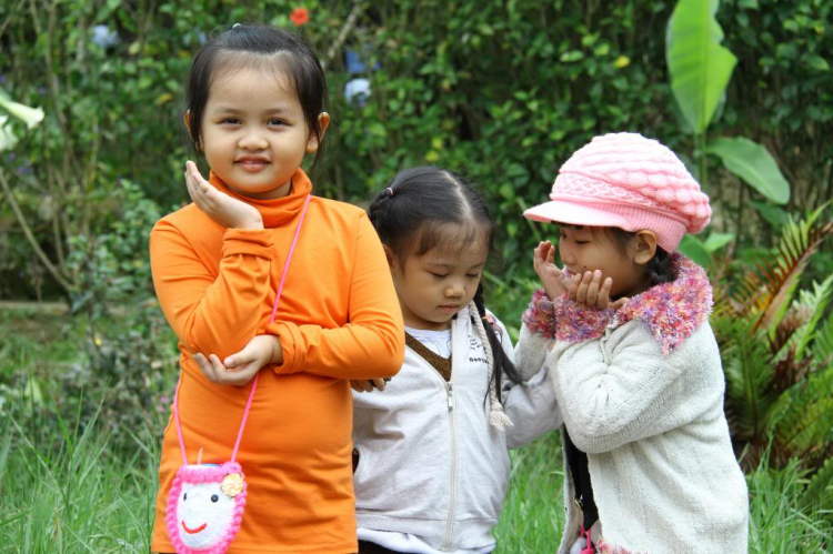 Hình Ảnh Đà Lạt cuối năm 2013 Hình Ảnh Đà Lạt cuối năm 2013