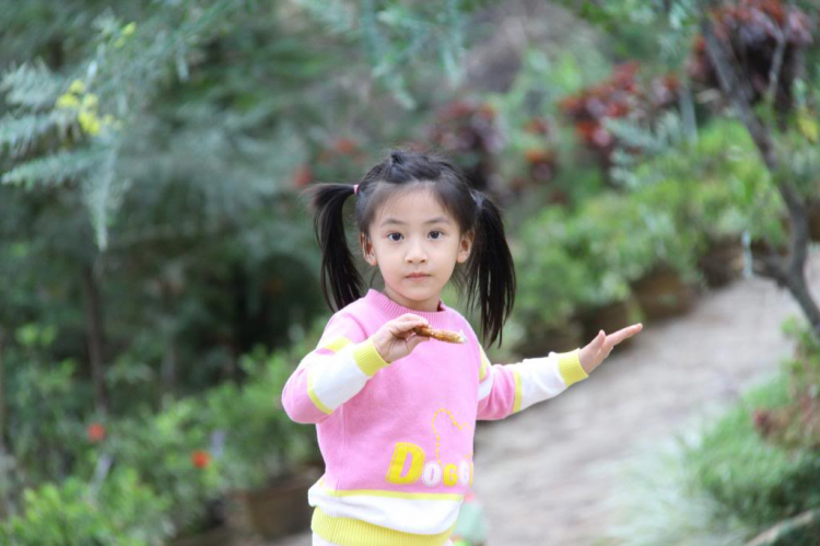 Hình Ảnh Đà Lạt cuối năm 2013 Hình Ảnh Đà Lạt cuối năm 2013