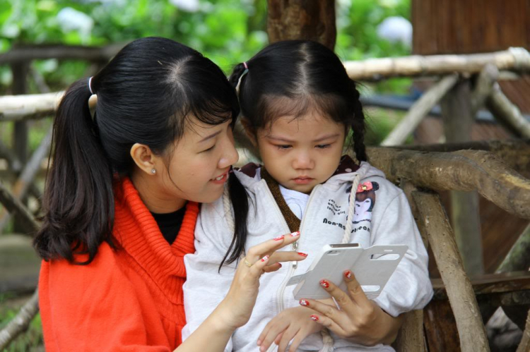Hình Ảnh Đà Lạt cuối năm 2013 Hình Ảnh Đà Lạt cuối năm 2013