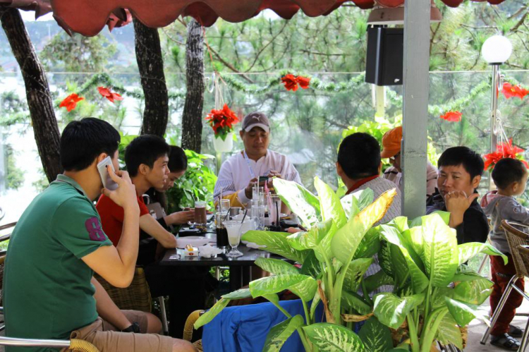 Hình Ảnh Đà Lạt cuối năm 2013 Hình Ảnh Đà Lạt cuối năm 2013