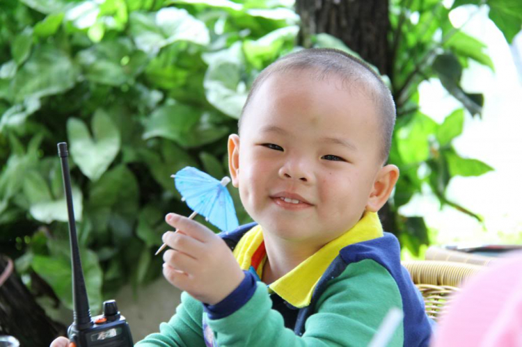 Hình Ảnh Đà Lạt cuối năm 2013 Hình Ảnh Đà Lạt cuối năm 2013